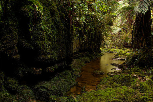 Sex 90377:  Limestone Wall by Pete Prue on Flickr. pictures