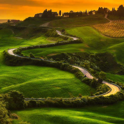 coiour-my-world:Between the road ~ Paweł Uchorczak