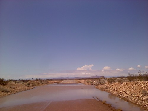 jumbledaperture: Soggy Desert - From the Phone, 8.19.14