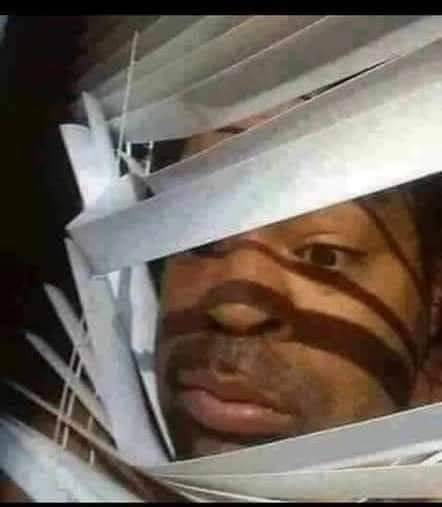 Vincent Stans Upon Checking Patreon Notifs 1 Minute Ago: