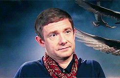 hobbitbilbo:  Martin laughing.for Romina 