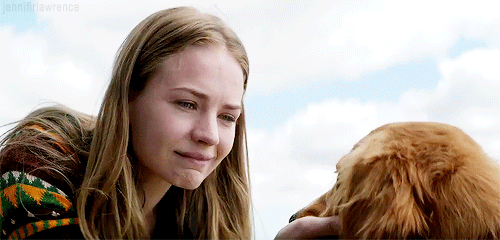 A Dogs Purpose (2017)