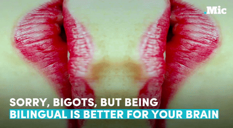 galakiane:the-movemnt:So before you scream, “speak English” to a foreign-language s