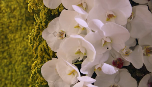 vaffanculomag:  Dior and I (2014) Director. Frédéric Tcheng  VΛFFΛNCULO MΛG // men’s fashion + photography + music + film