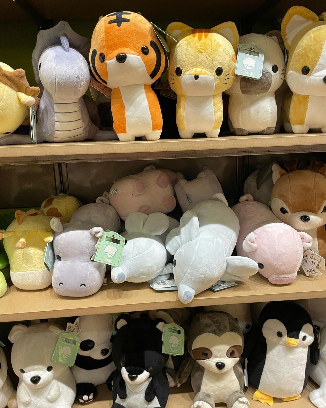 toy tiny — Bellzi plushies at @thediscoveryhut — aren't they