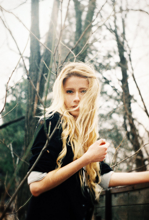 calms:  nature/vintage/photography blog        