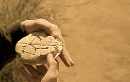 deeptheon:Westworld Rewatch ☆ 1.03 The StrayWhy don’t we reacquaint ourselves, Dolores? Start at the