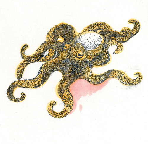 octopus drawing