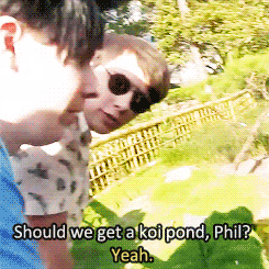 interrupted-by-phan:oh ym god what if they’re sat at home discussing their future house and stuff i 