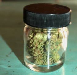 veraisastoner:  when you just pick up some new shit