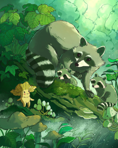 jramseyi:Raccoons and mushrooms