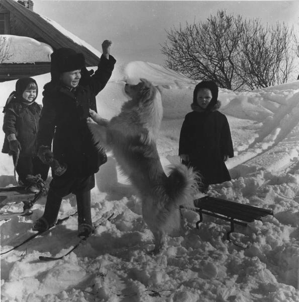 Children and a dog play on high snow. Kolkhoz Avangard, Gorky oblast of Russia. Photo by Vsevolod Tarasevich (1960s).