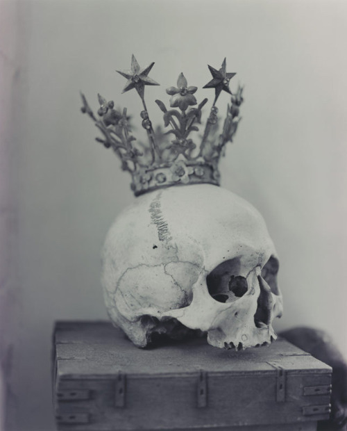 likeafieldmouse:Axel Hoedt