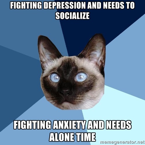 chronic-illness-cat:  [picture of a cross-eyed Siamese cat’s head against a gyronny