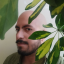 jdvarq