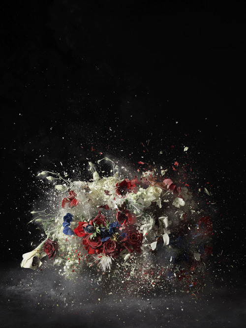 anitaleocadia:Ori Gersht (via Mummery + Schnelle/TrendHunter)