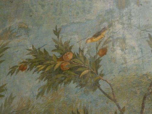 romegreeceart:Palazzo Massimo - Frescoes of Livia’s Prima Porta villa (part 1)This is definete