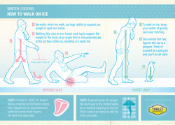 mattachinereview:  librarianpirate:  whatwhatwhat:  pamplemoussi:  Walk like a penguin to avoid slipping on ice. (via)  “Think of yourself as a penguin and you’ll be alright.” New mantra.   Things I will need when I get out of work in 2.5 hours