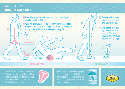 mattachinereview:  librarianpirate:  whatwhatwhat:  pamplemoussi:  Walk like a penguin to avoid slipping on ice. (via)  “Think of yourself as a penguin and you’ll be alright.” New mantra.   Things I will need when I get out of work in 2.5 hours