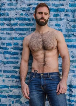 hairy nice men