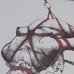 nanatokaorucute:  Shibari ispiration😍