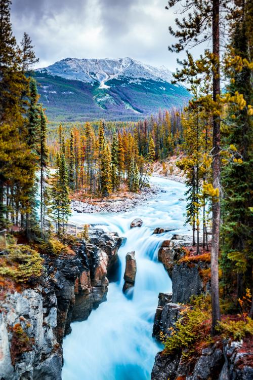 amazinglybeautifulphotography:  Sunwapta Falls, Alberta, Canada - [4000x6000] [OC] - Author: verygreenbananas on reddit