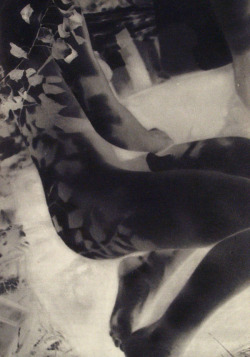    LASZLO MOHOLY-NAGY  