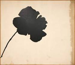 lasmicrofisuras:  Jannis Kounellis, Rosa-nera, 1966. Museo del Novecento Milano 