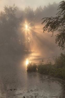 livelifetothenudist:  This is an ideal sunrise beside a lake. So peaceful yet stunning! 