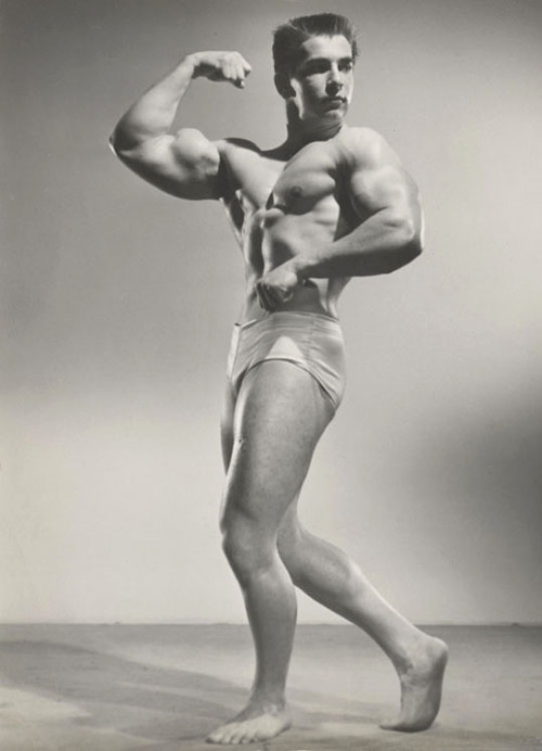 ALEX ARONIS