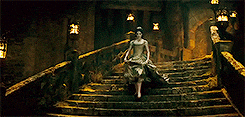 swanemma:Into the Woods + Blue and Yellow