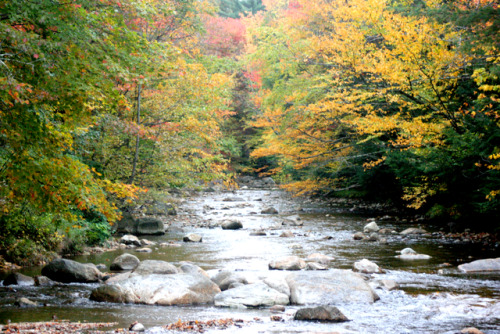 twilightsolo-photography: The Pemi River in Fall ©twilightsolo-photography // Instagram // Print Sho