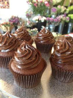 heckyeahvegancupcakes:  Vegan Chocolate Avocado