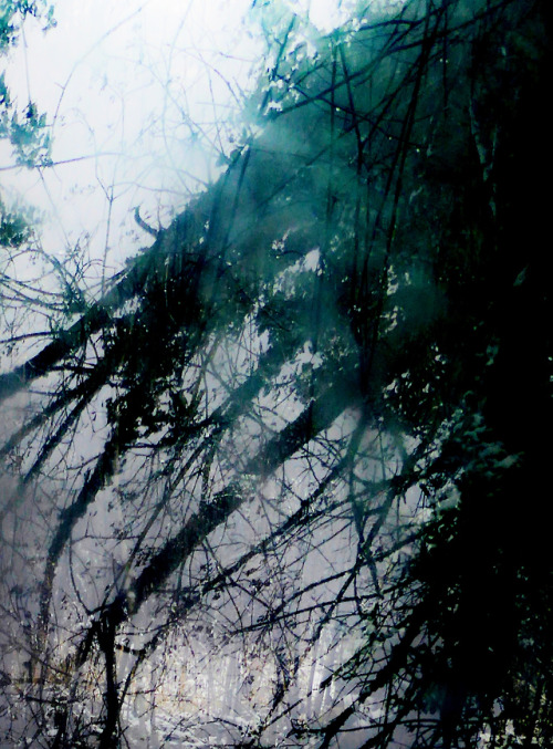 Accented In Green ,lost Within Expanding Blue, Into A Maybe Grey Sky