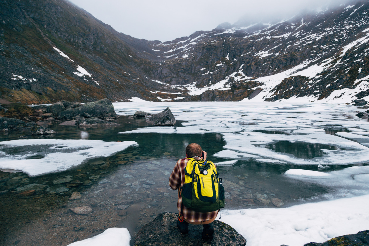 heyimchandler:  Coleman, Tikka, and Brad at Hatchers Pass.