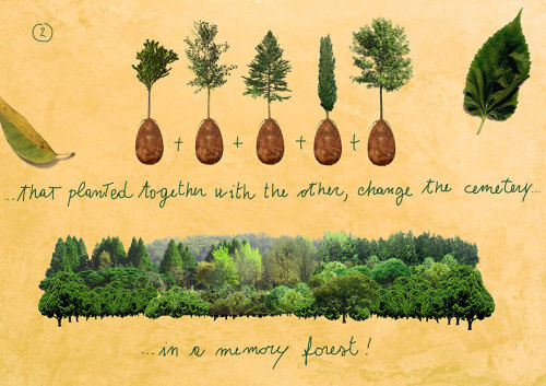 liz-pls:Bye-bye Coffins, Turn Your Loved Ones Into Trees  …I love this concept. owo