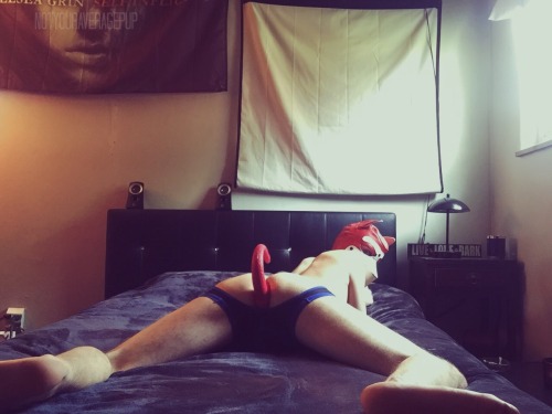 notyouraveragepup: What am I for Halloween?  A Lazy Pup, of course! 