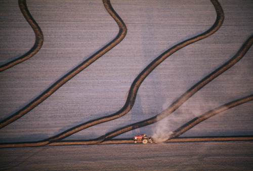 A tractor creates a linear design in a rice field as farmer raises levees in Grand Prairie, Arkansas