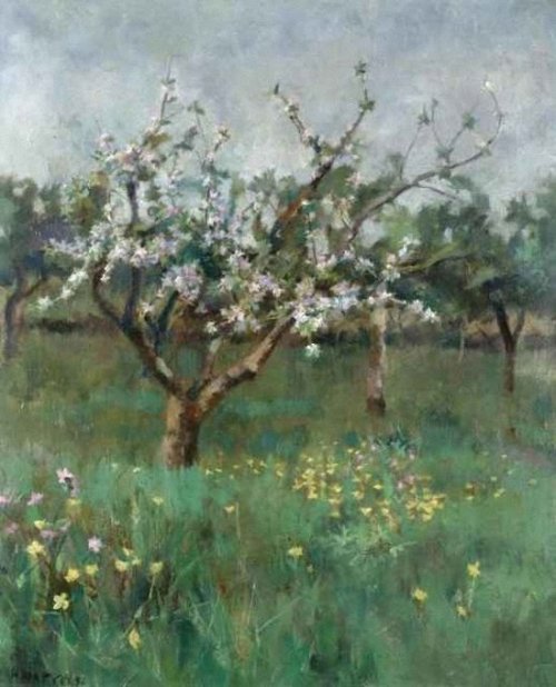 Apple Blossom  -  Harold Harvey 1892