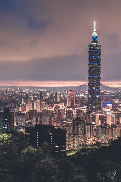 billionaired:  Taipei Skyline from Elephant Mountain by Dave Wilson 