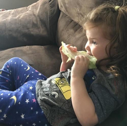 Just casually watching Paw Patrol while eating a giant piece of lettuce. #dievann #lettuce #asyoudo