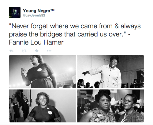 actjustly:Day 3 of #BlackHistoryYouDidntLearnInSchool - Fannie Lou Hamer. Fannie Lou Hamer’s speechMy twitter