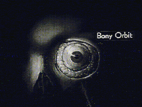 glitchphotography:  Consider the Bony Orbit… { zipped motion block video (zmbv) codec databending, s