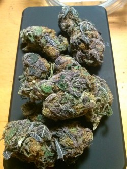 telumberg420:  Gran daddy purp 