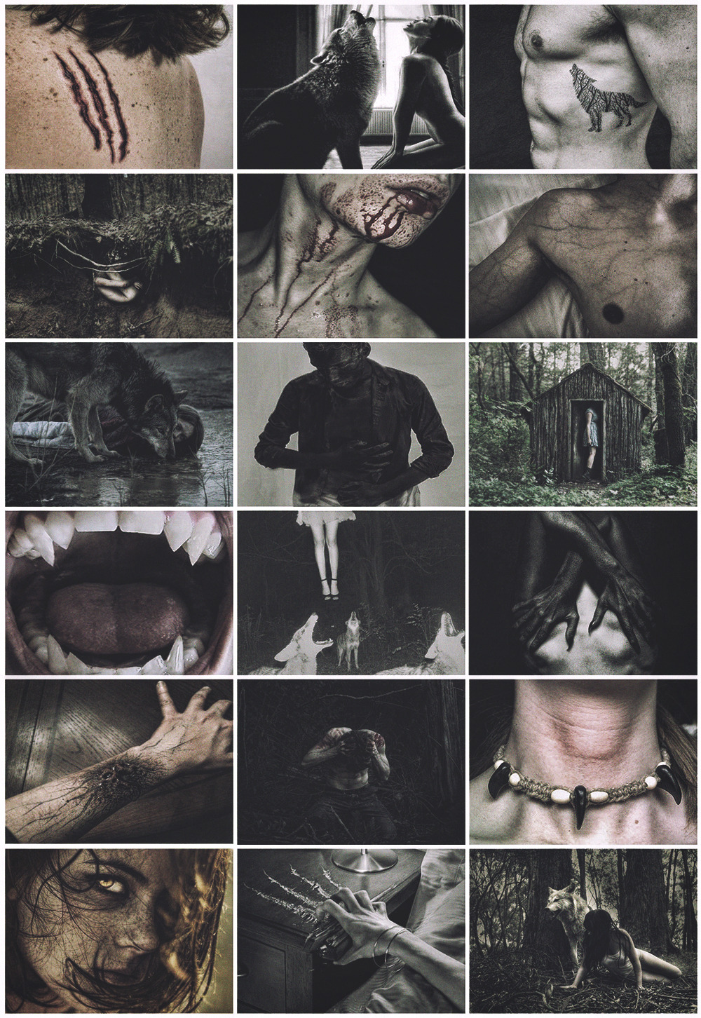 aestheticschaos:  Werewolf aesthetic