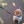 phyteclub:  average person sees 3 UFOs a year” factoid actualy just statistical