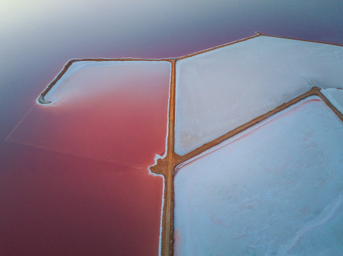 Salt,Tobias Hgg