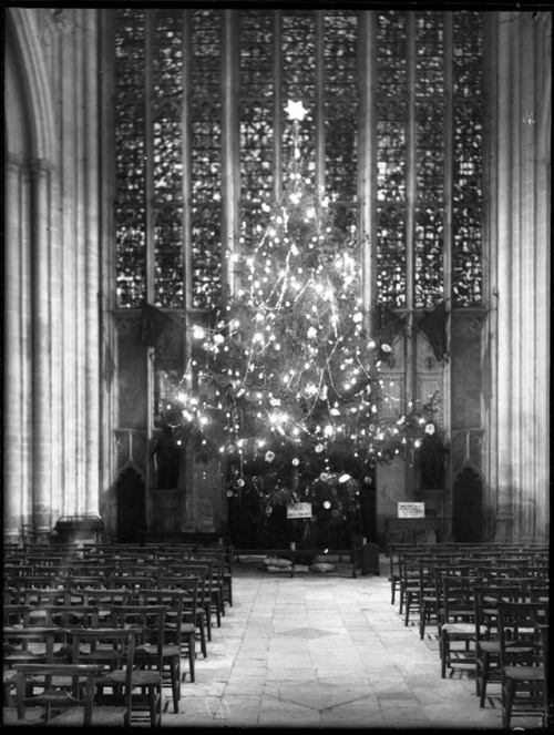 vintageeveryday:Interesting old photos show the story behind the Christmas tree of Winchester Cathed