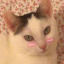 ilovememememehe