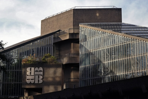 scavengedluxury:Barbican Conservatory. London, October 2017.